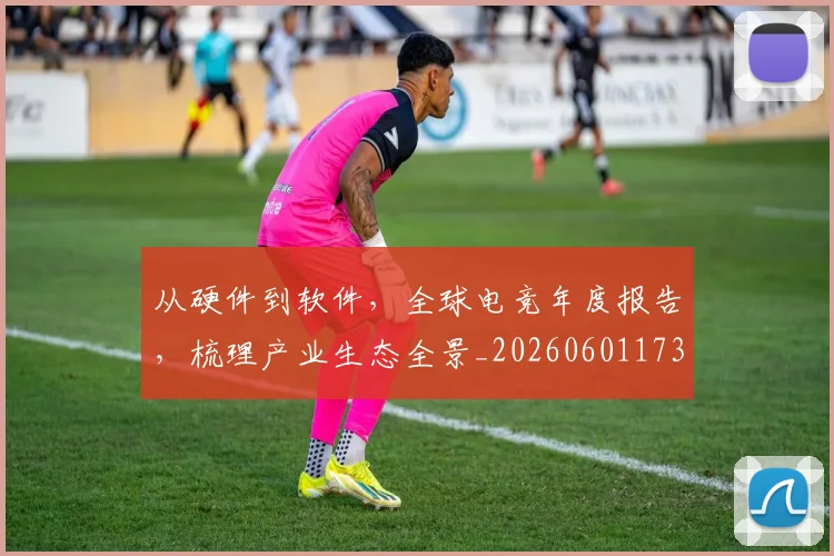 从硬件到软件，全球电竞年度报告，梳理产业生态全景_20260601173125