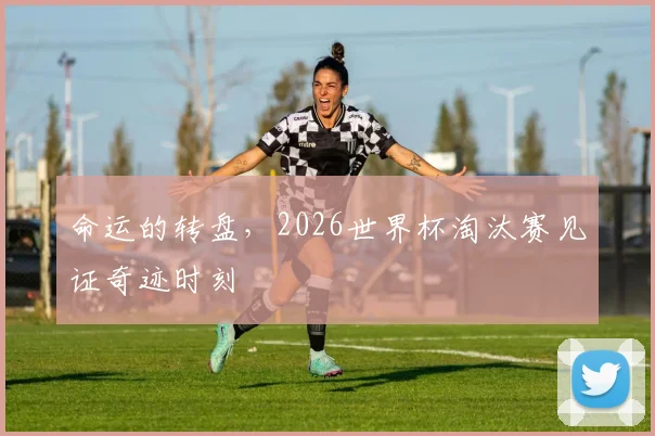 命运的转盘,2026世界杯淘汰赛见证奇迹时刻