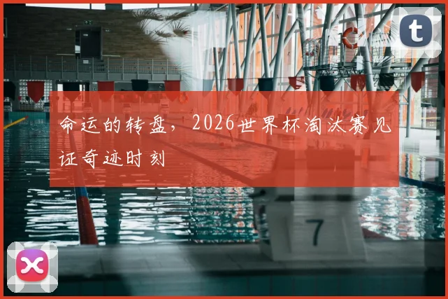 命运的转盘，2026世界杯淘汰赛见证奇迹时刻